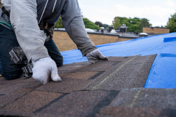Best Storm Damage Roof Repair  in Wtell, LA